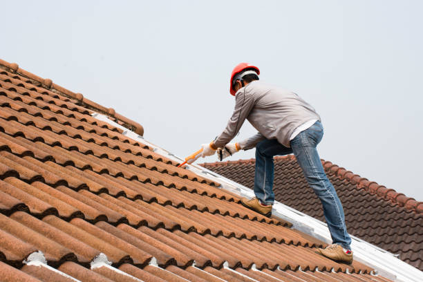 Trusted Holmes Beach, FL Roofing services Experts